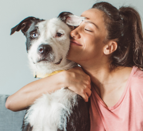 Provide a Peace of Mind through Pet Care Benefits